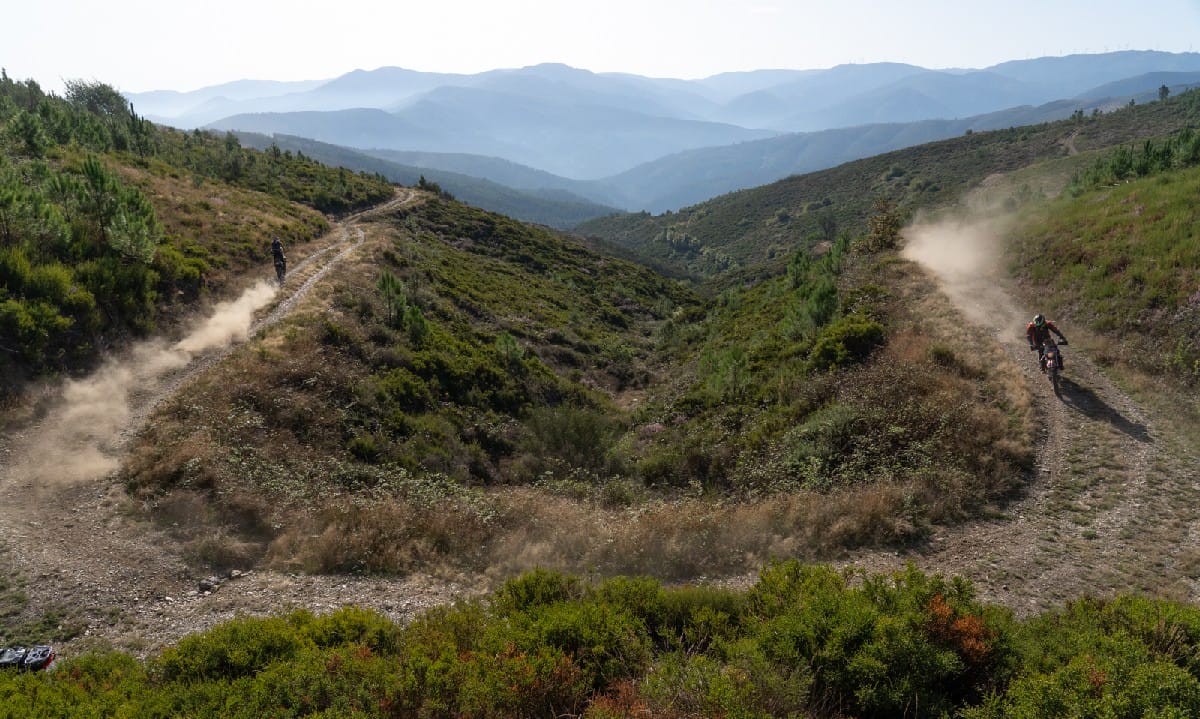 Prevenção passa por ‘Reflorestar Portugal de Lés-a-Lés’ com árvores autóctones – Motociclistas a plantar